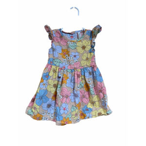 Pantaloons Baby Dress 9 12M Floral Cottagecore Ruffle Sleeve Cotton